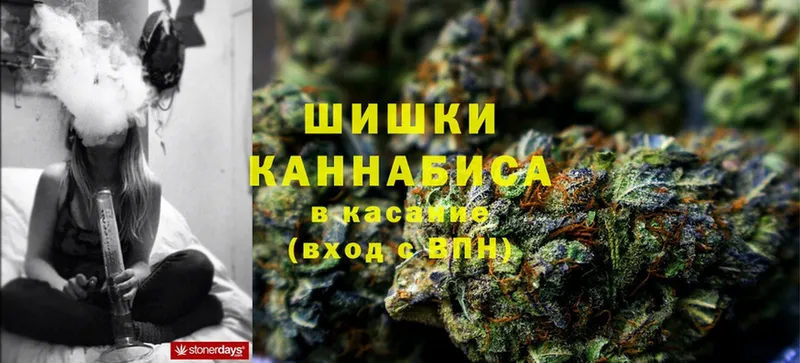 Конопля Ganja  Вуктыл 